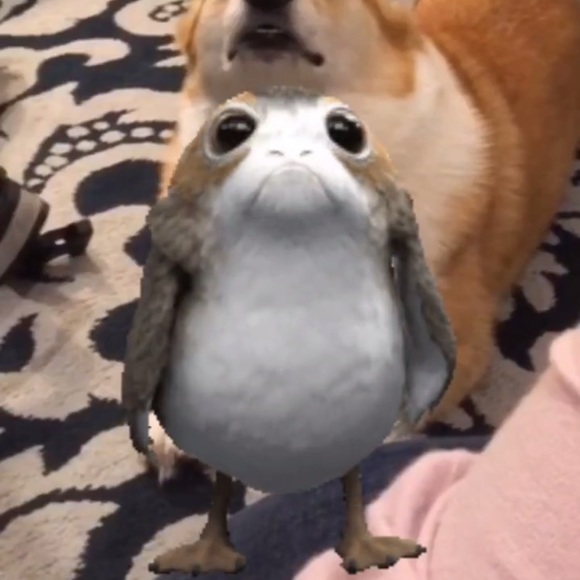 Meet your Posher, Anissa - Picture 1 of 1